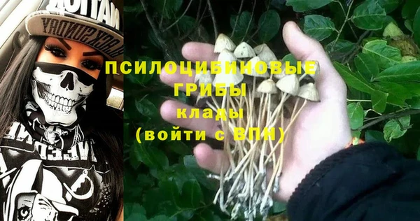 дурь Абаза
