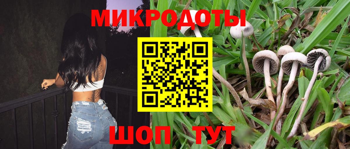 Галлюциногенные грибы Magic Shrooms  Псилоцибиновые грибы Psilocybine cubensis  Югорск  Вход с VPN 