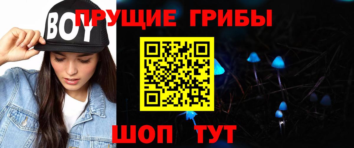 Галлюциногенные грибы Psilocybine cubensis Югорск